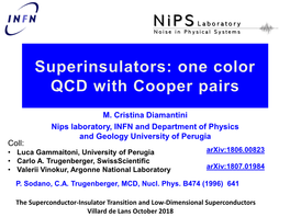 M. Cristina Diamantini Nips Laboratory, INFN and Department of Physics and Geology University of Perugia Coll