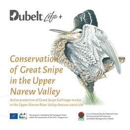 Conservation of Great Snipe in the Upper Narew Valley Active Protection of Great Snipe Gallinago Media in the Upper Narew River Valley Natura 2000 Site