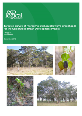 Targeted Survey of Pterostylis Gibbosa (Illawarra Greenhood) for the Calderwood Urban Development Project