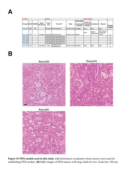 (A) Information on Patients Whose Tumors Were Used for Establishing PDX Models