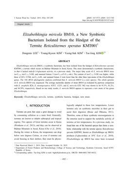 Elizabethkingia Miricola BM10, a New Symbiotic Bacterium Isolated from the Hindgut of the Termite Reticulitermes Speratus KMT0011