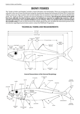 BONY FISHES the ‘‘Guide to Orders and Families’’, Includes a Total of 28 Orders and 160 Families