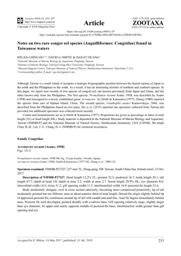 Notes on Two Rare Conger Eel Species (Anguilliformes: Congridae) Found in Taiwanese Waters