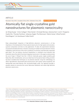 Atomically Flat Single-Crystalline Gold Nanostructures for Plasmonic Nanocircuitry