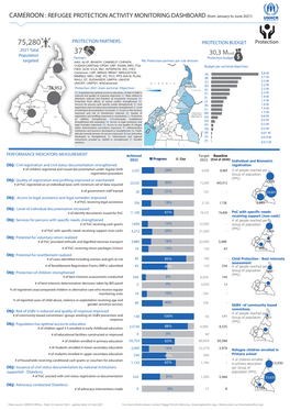 UNHCR Cameroon Protection Monitoring Dashboard