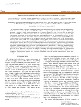 Canyon Rim Residues, Including Antigenic Determinants, Modulate