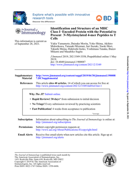 Identification and Structure of an MHC Class I–Encoded Protein with the Potential to Present N-Myristoylated 4-Mer Peptides To