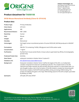 EIF3D Mouse Monoclonal Antibody [Clone ID: OTI1G10] – TA808188