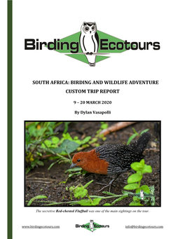 South Africa: Birding and Wildlife Adventure Custom Trip Report