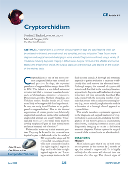 Cryptorchidism