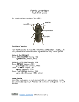 Family Lucanidae Key to British Species