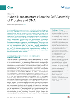 Hybrid Nanostructures from the Self-Assembly of Proteins and DNA