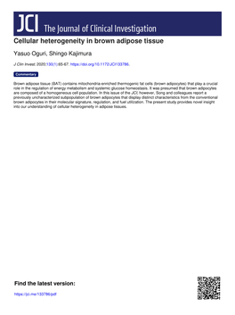 Cellular Heterogeneity in Brown Adipose Tissue