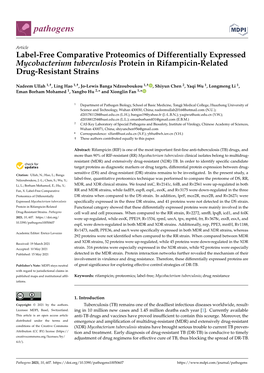 Label-Free Comparative Proteomics of Differentially Expressed Mycobacterium Tuberculosis Protein in Rifampicin-Related Drug-Resistant Strains