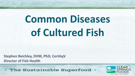 Common Diseases in Food Fish