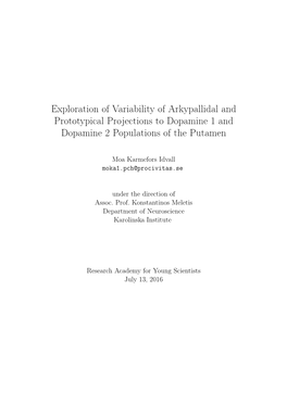 Exploration of Variability of Arkypallidal and Prototypical Projections to Dopamine 1 and Dopamine 2 Populations of the Putamen