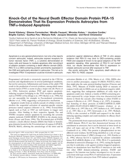 Knock-Out of the Neural Death Effector Domain Protein PEA-15 Demonstrates That Its Expression Protects Astrocytes from TNF␣-Induced Apoptosis