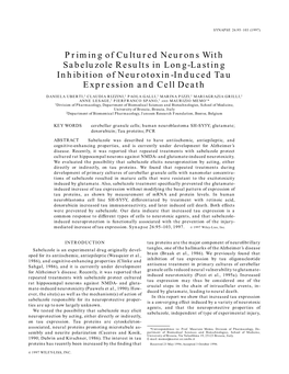 Priming of Cultured Neurons with Sabeluzole Results in Long-Lasting Inhibition of Neurotoxin-Induced Tau Expression and Cell Death