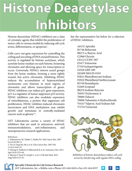 Histone Deacetylase Inhibitors