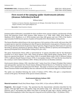 First Record of the Jumping Spider Eustiromastix Falcatus (Araneae: Salticidae) in Brazil William Galvis 1