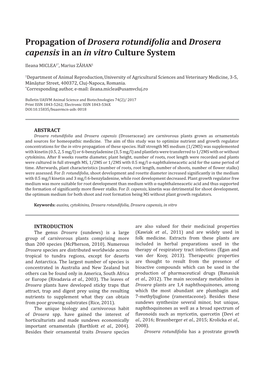 Propagation of Drosera Rotundifolia and Drosera Capensis in an in Vitro Culture System