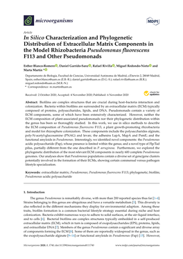 In Silico Characterization and Phylogenetic Distribution Of