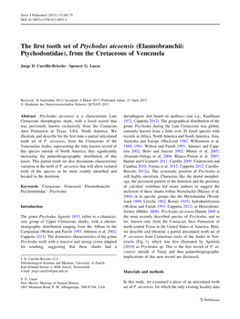 The First Tooth Set of Ptychodus Atcoensis (Elasmobranchii