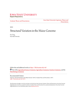 Structural Variation in the Maize Genome Kai Ying Iowa State University