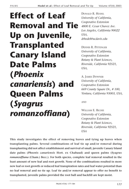 Effect of Leaf Removal and Tie up on Juvenile, Transplanted Canary Island Date Palms