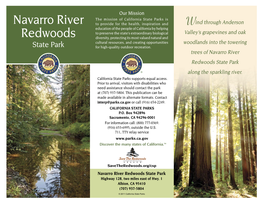 Navarro River Redwoods State Park Along the Sparkling River