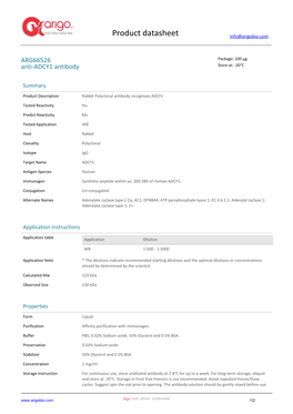 Anti-ADCY1 Antibody (ARG66526)