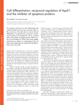 Cell Differentiation: Reciprocal Regulation of Apaf-1 and The