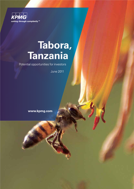 Tabora, Tanzania Potential Opportunities for Investors