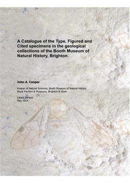 A Catalogue of the Type, Figured and Cited Specimens in the Geological Collections of the Booth Museum of Natural History, Brighton