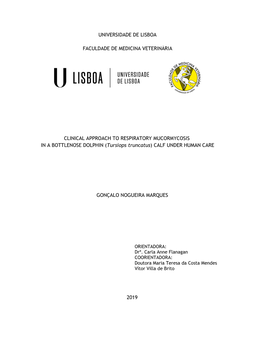CLINICAL APPROACH to RESPIRATORY MUCORMYCOSIS in a BOTTLENOSE DOLPHIN (Tursiops Truncatus) CALF UNDER HUMAN CARE