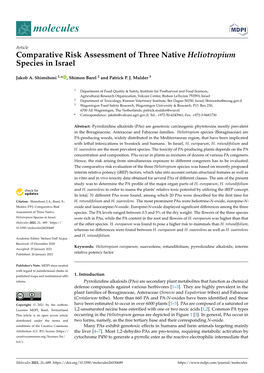 Comparative Risk Assessment of Three Native Heliotropium Species in Israel