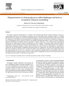 Oligomerization of ß-Dystroglycan in Rabbit Diaphragm and Brain As Revealed by Chemical Crosslinking