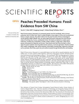 Peaches Preceded Humans: Fossil Evidence from SW China