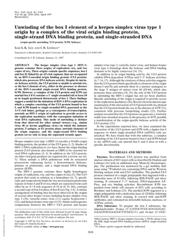 Unwinding of the Box I Element of a Herpes Simplex Virus Type 1 Origin by a Complex of the Viral Origin Binding Protein, Single