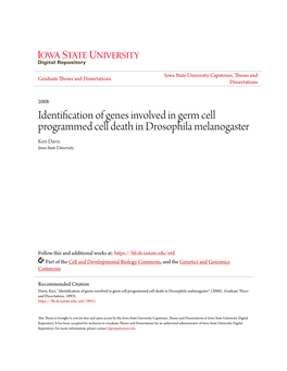 Identification of Genes Involved in Germ Cell Programmed Cell Death in Drosophila Melanogaster Keri Davis Iowa State University