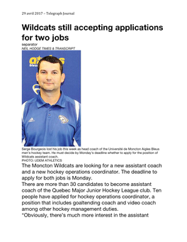 Wildcats Still Accepting Applications for Two Jobs Separator NEIL HODGE TIMES & TRANSCRIPT