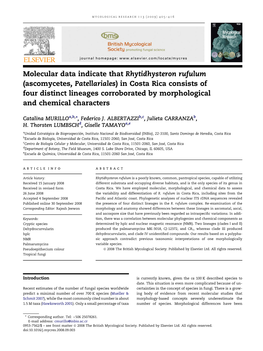 Molecular Data Indicate That Rhytidhysteron Rufulum