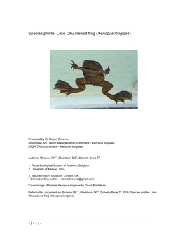 Species Profile: Lake Oku Clawed Frog (Xenopus Longipes)