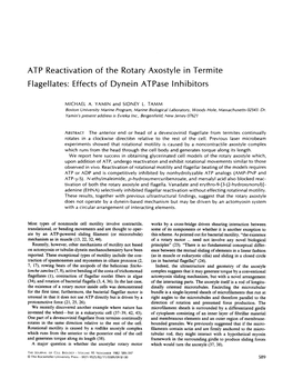 ATP Reactivation of the Rotary Axostyle in Termite Flagellates: Effects of Dynein Atpase Inhibitors