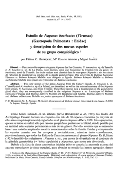 Estudio De Napaeus Baeticatus (Férussac) (Gastropoda Pulmonata : Enidae) Y Descripción De Dos Nuevas Especies De Su Grupo Conquiológico 1