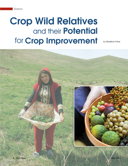 Crop Wild Relatives and Their Potential for Crop Improvement by Madeline Fisher