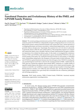 Functional Domains and Evolutionary History of the PMEL and GPNMB Family Proteins