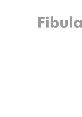 Fibula News2 Evo4.Pdf