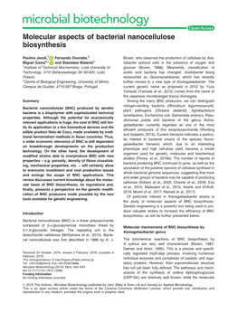 Molecular Aspects of Bacterial Nanocellulose Biosynthesis