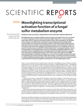 Moonlighting Transcriptional Activation Function of a Fungal Sulfur